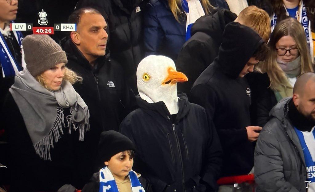 今天的镜头频频给到布莱顿的海鸥头套的球迷，还挺好玩的 图3是两年前的照片 