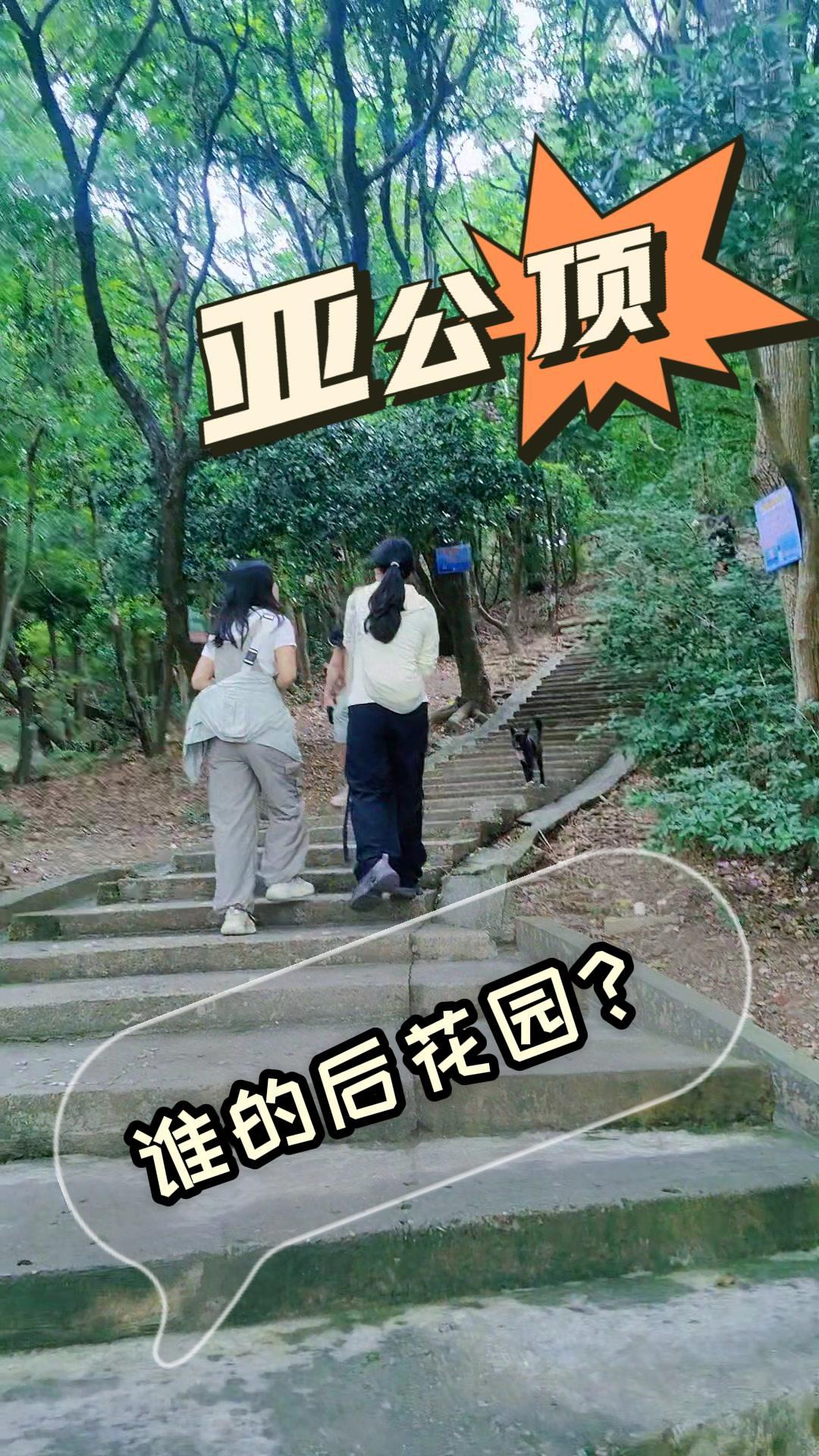 🌿惠阳淡水亚公顶，谁的后花园？
在惠阳淡水生活的人，应该对亚公顶不陌生吧。这座