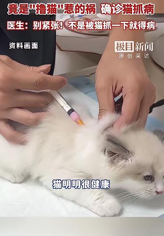 🐒"万万没想到！"9月17日报道，湖北武汉，一小男孩连续两天发烧，妈妈摸到他腋