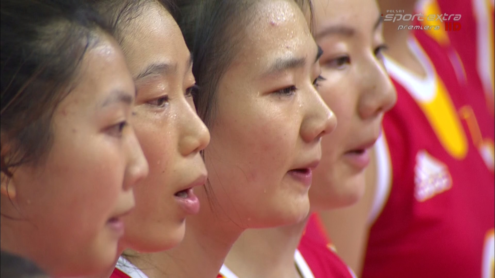 想开个新坑，从现在到女男排世锦赛期间尽量每天更新2014~2022女男排世锦赛的