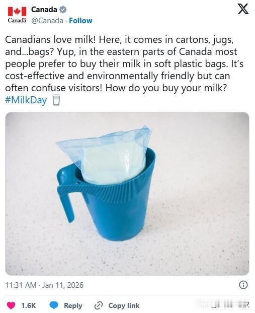 加拿大政府发帖: 我们爱喝袋装牛奶！

加拿大政府在 1 月 11 日（周日）庆