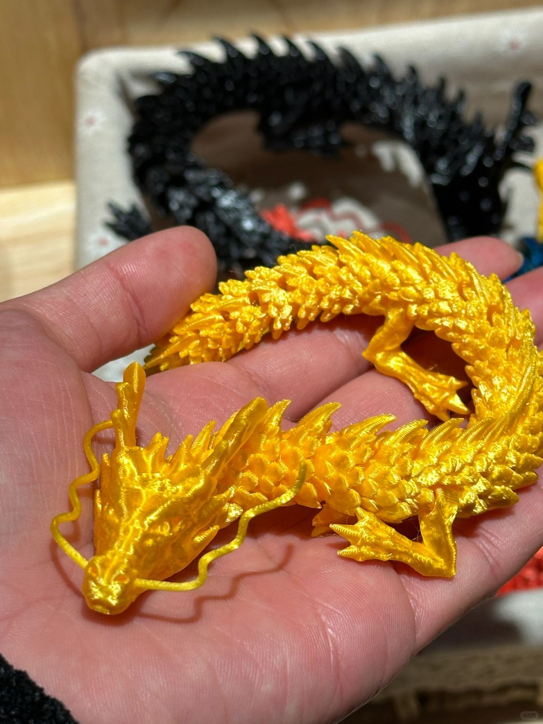 龙年养的新宠物🐲想看看你们的