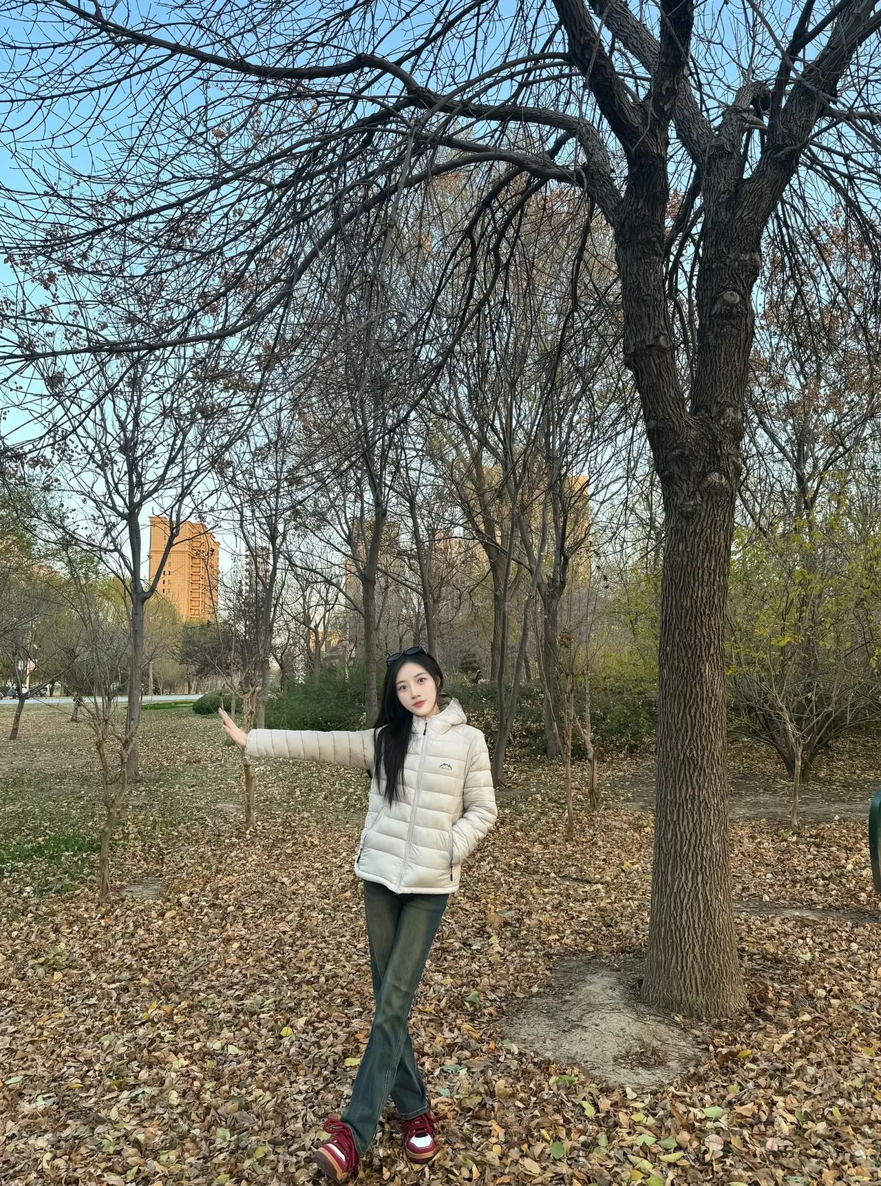 秋日漫步，落叶飘零，与自然亲密接触