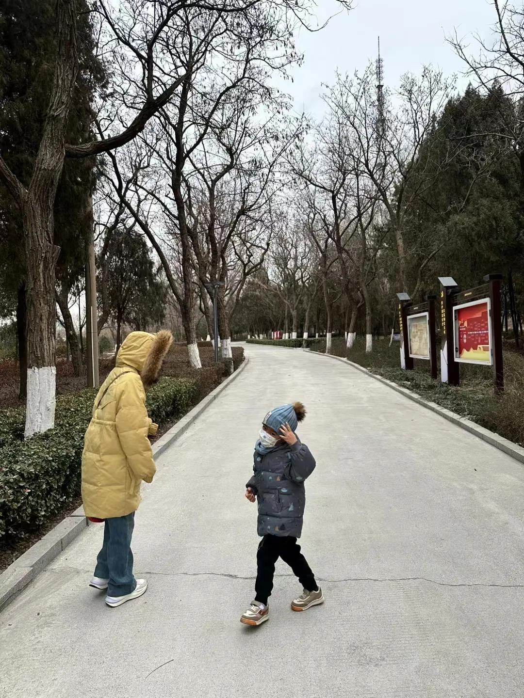 今年不回家过年了，在城市里过年，心和无根的野草一样，荒芜没有生机，一点对过年的期