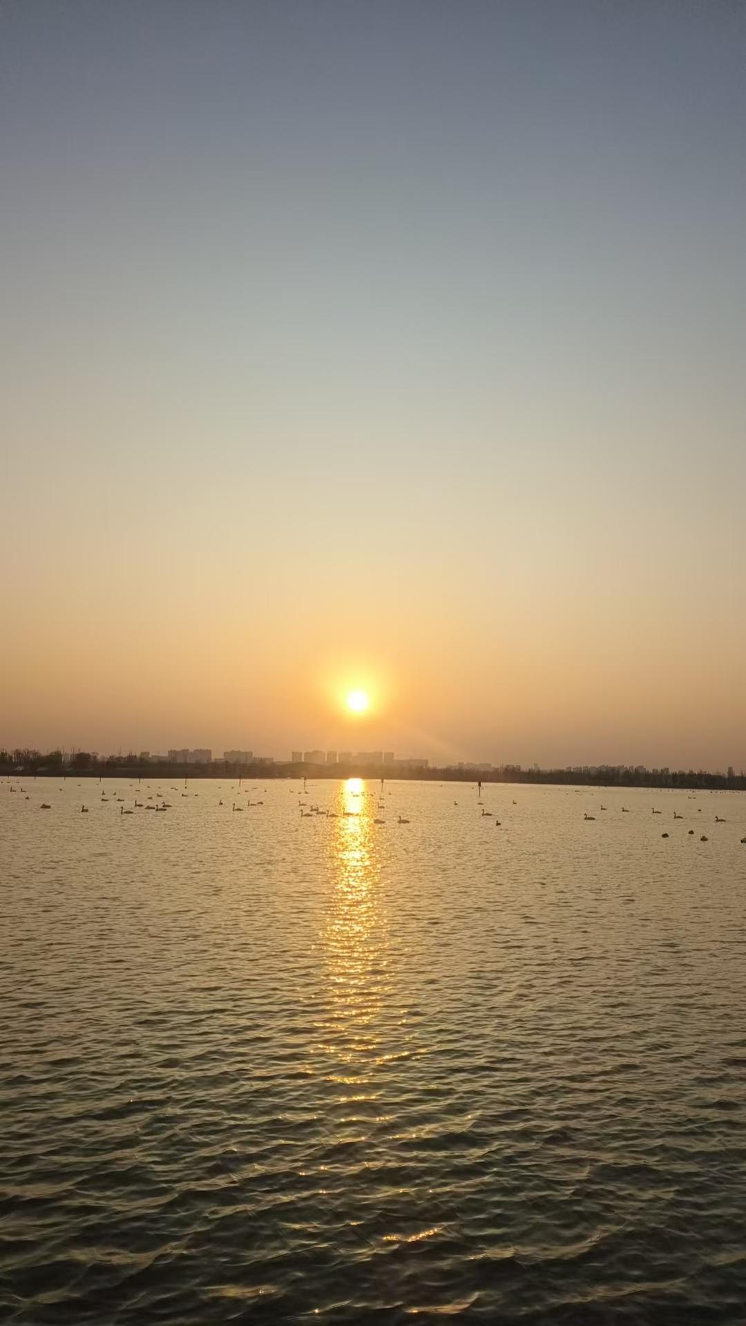 天南地北大拜年春日里，夕阳西下也美。暖暖阳光让人们感受节日的快乐。