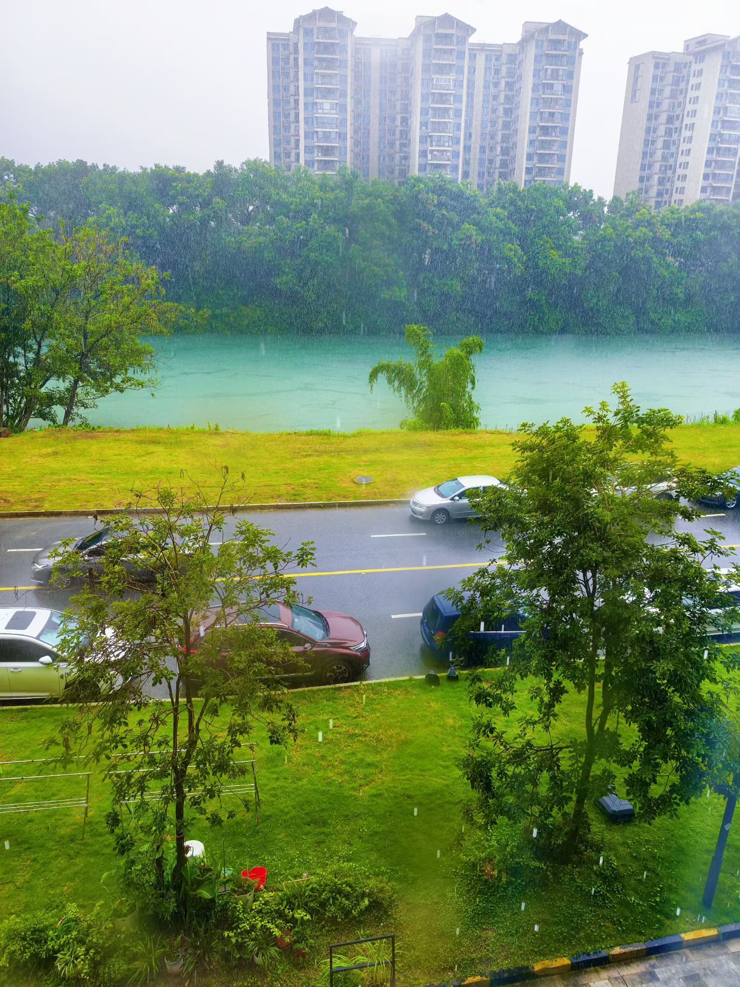 下雨天最合适睡觉咯💤 