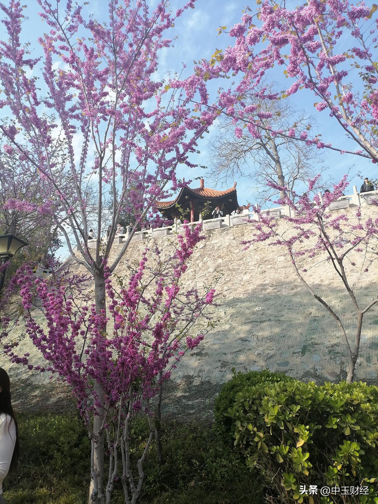 晒出你的本地生活