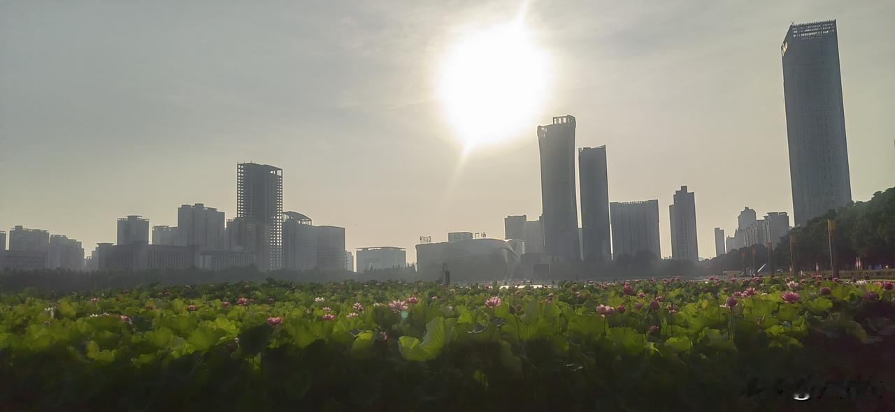 高考陆续放榜，各地的录取线也都公布了，几家欢喜几家愁呀。
老公的侄女，就是老公弟