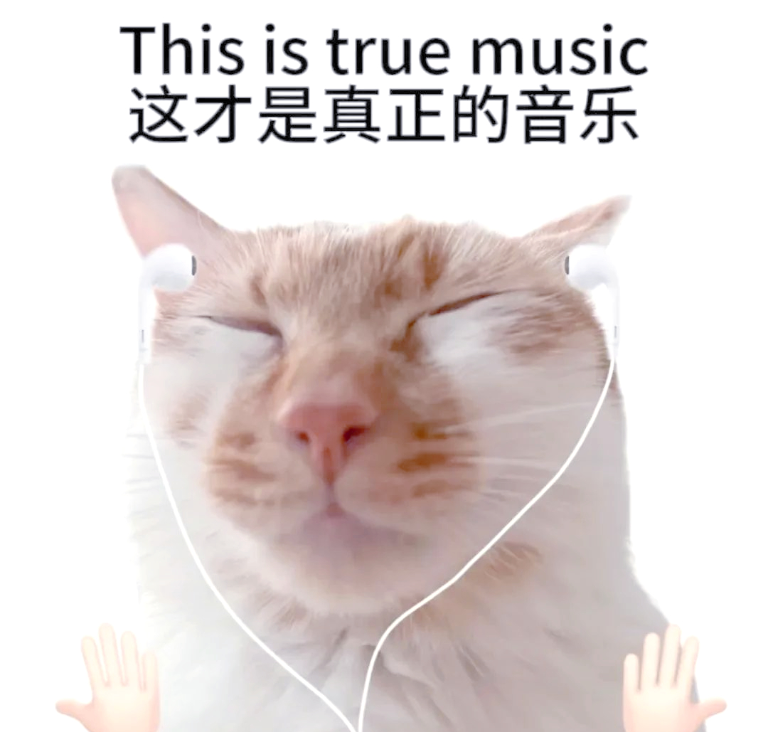 听声音就能判断一辆车值不值 我觉得就跟整牙一样，贵的不一定是最好的，但是便宜的一