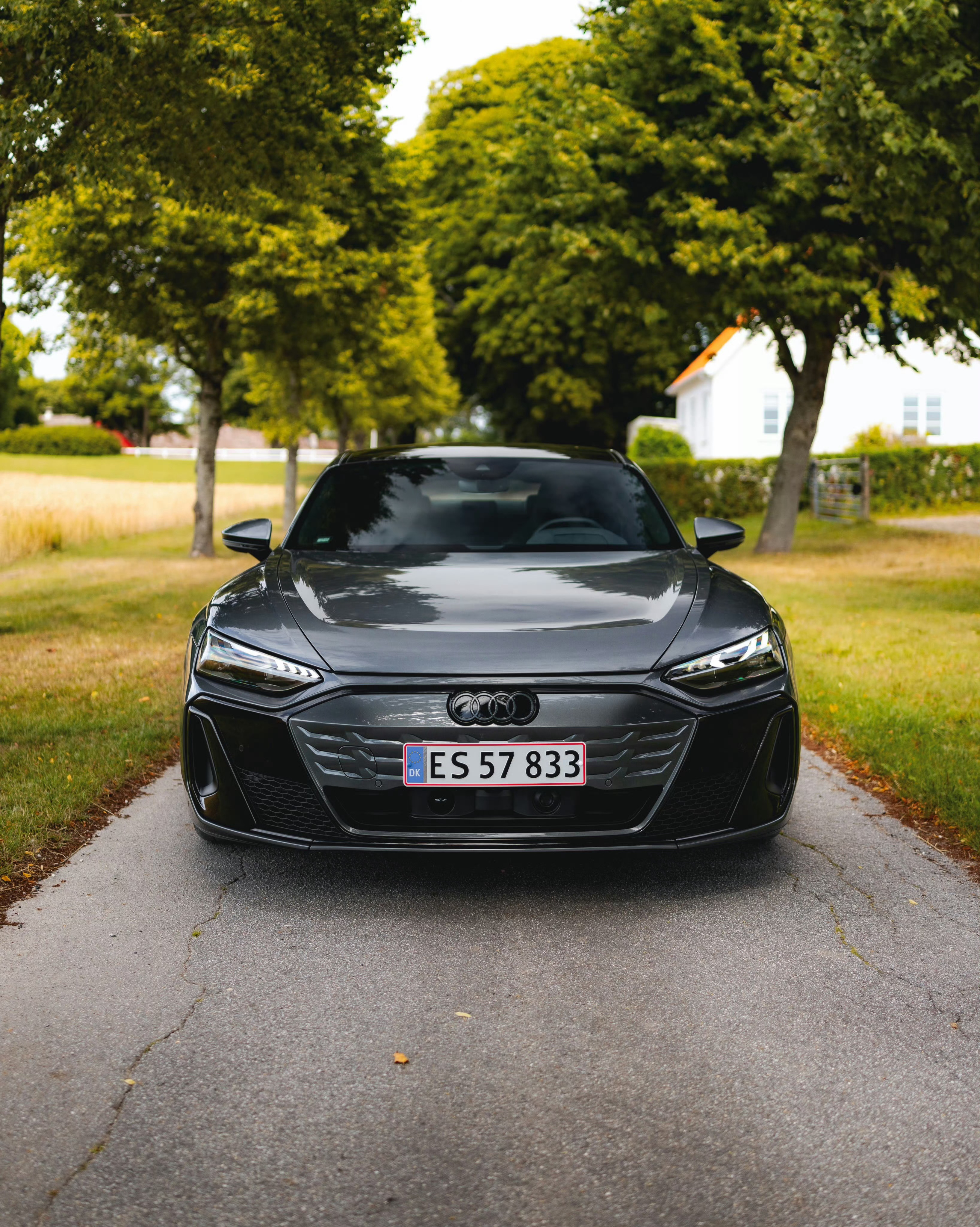 奥迪 e-tron GT 