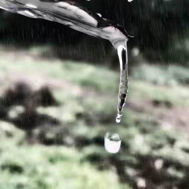 其一·七绝·夏雨初至

赤日流金暑气蒸，蝉鸣噪耳意难平。
忽惊墨云遮天幕，风动帘