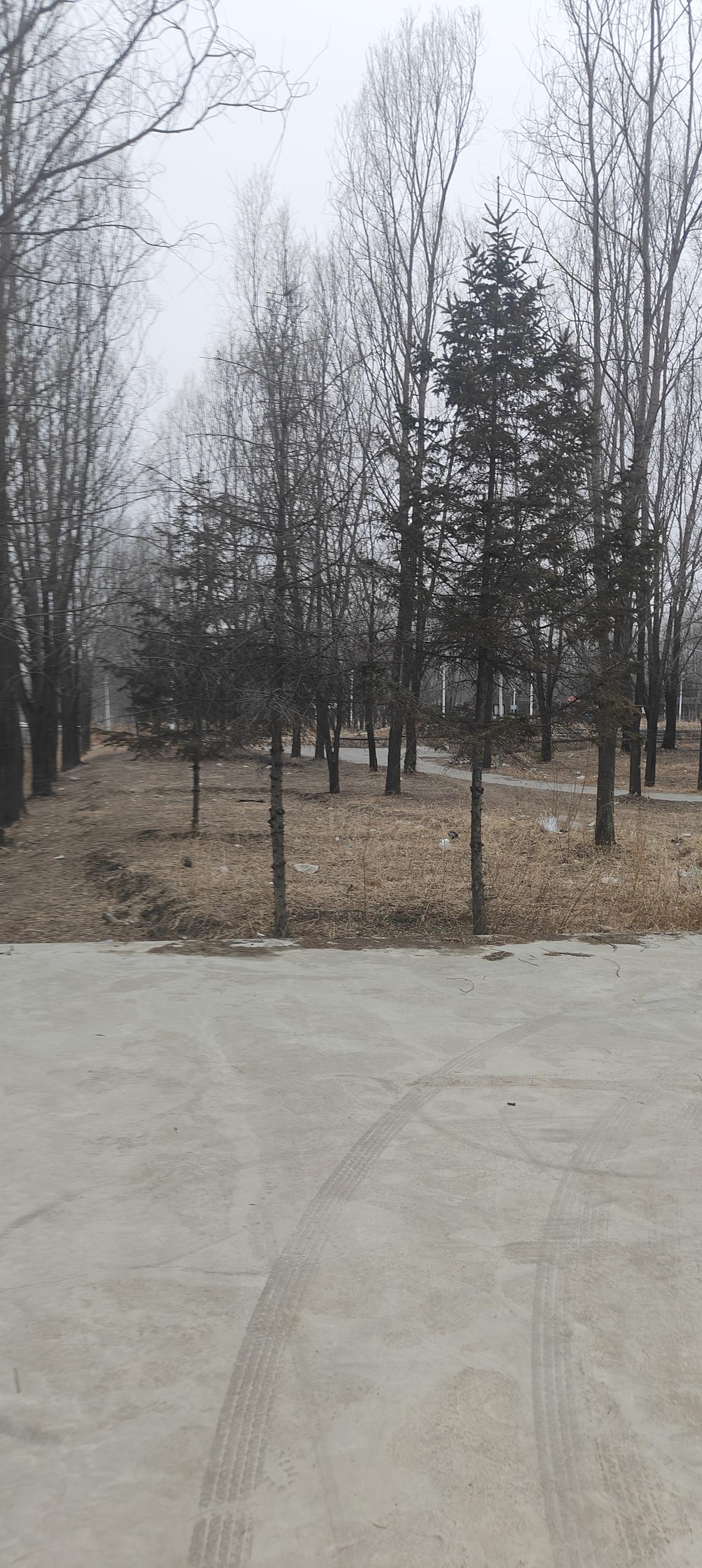 健康是一切的根本吗当然健康是一切的根本，没有健康一切都是空谈。