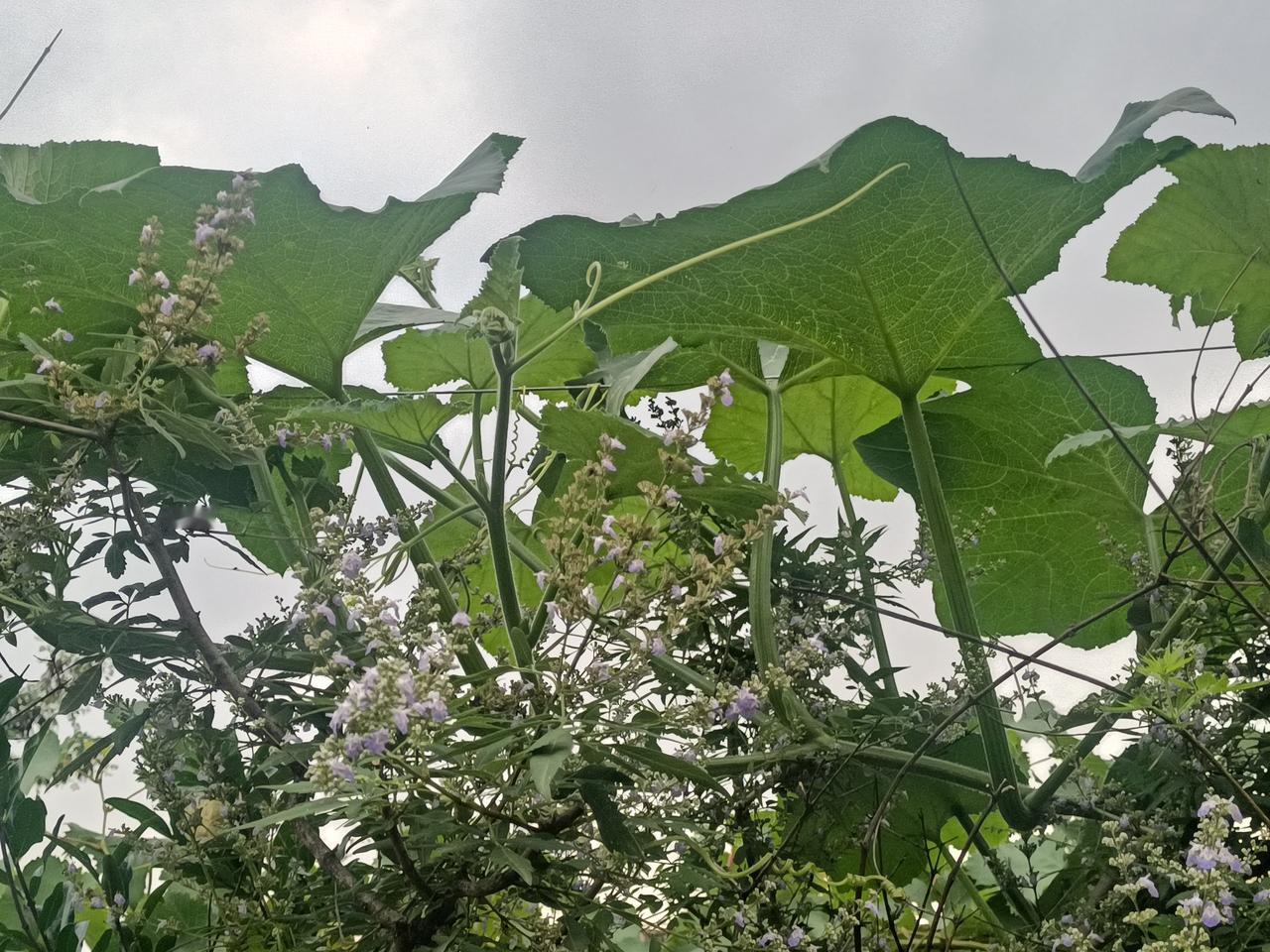 首先就是要把骨缝打开，
只有骨缝打开了，
身体就有松活度，
既能相连，又能崩弹，