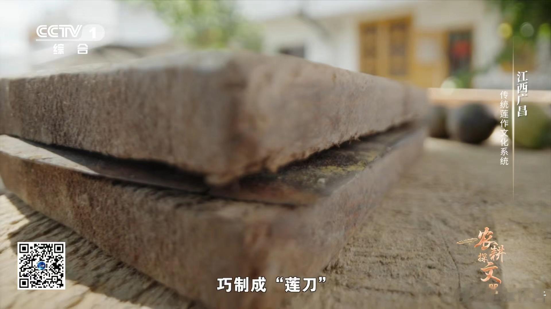 #剥莲子原来有工具# 剥莲子工具展现古代劳动人民的智慧，设计独特。轻松搞定莲壳，