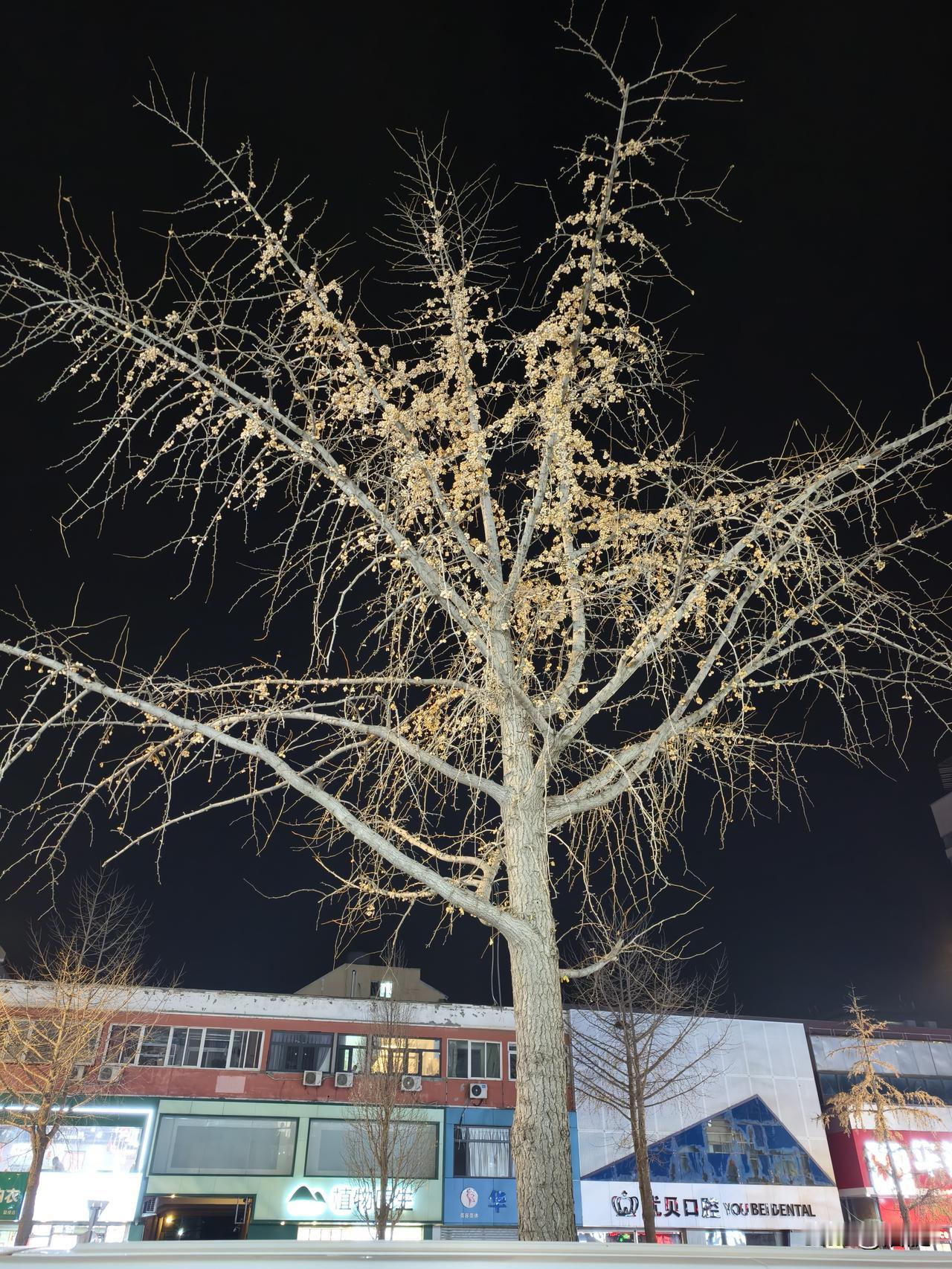 怎样拍晚上的蓝天白云的