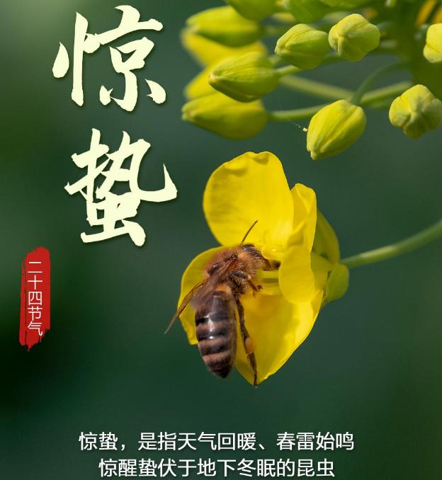时至惊蛰，万物生机盎然，又到了农耕时节。
我国古代是农耕社会，靠天吃饭，靠地打粮