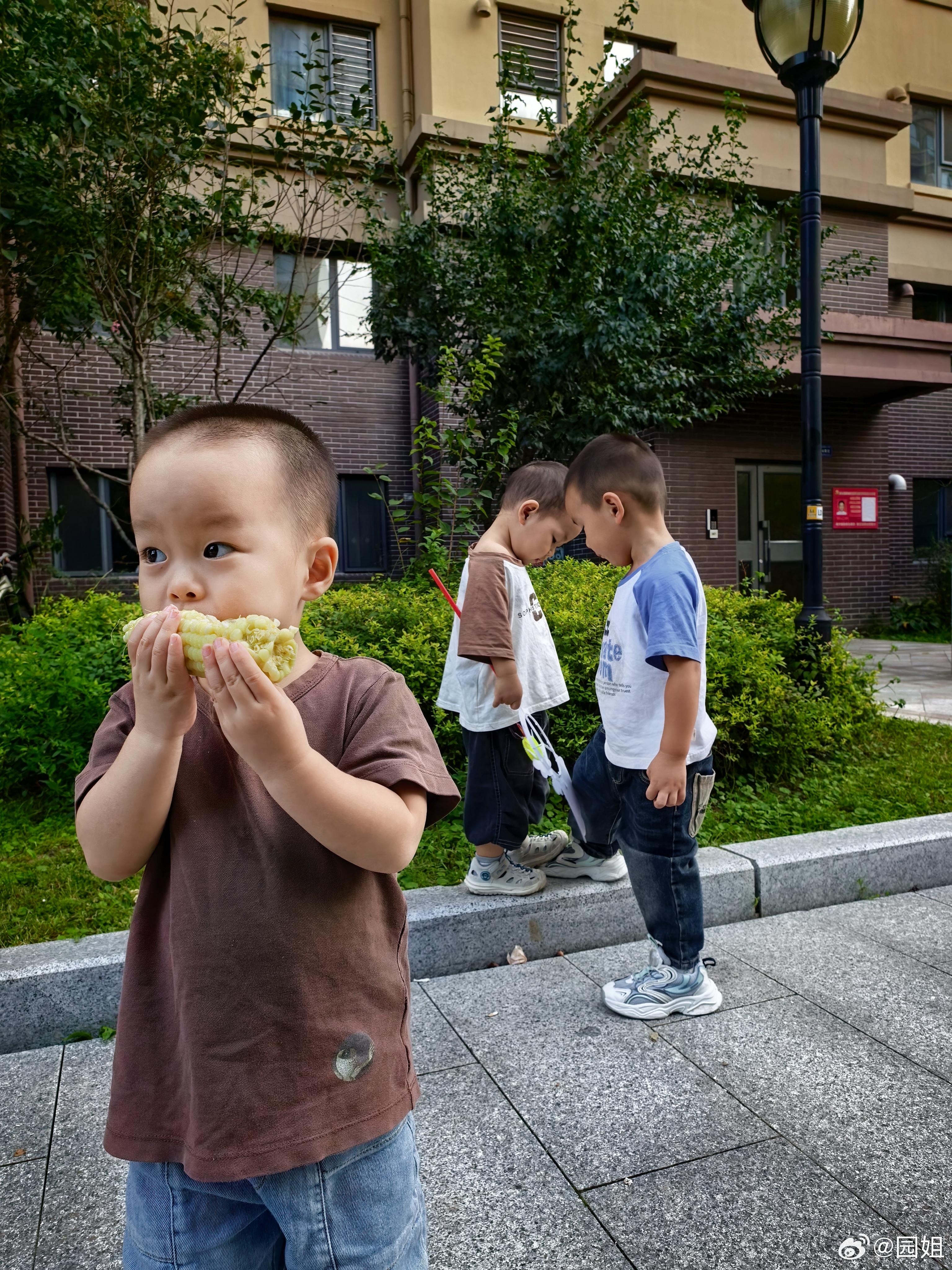 今天上班找了一个拆家搭子和我一起拆中秋礼物[二哈] ​​​