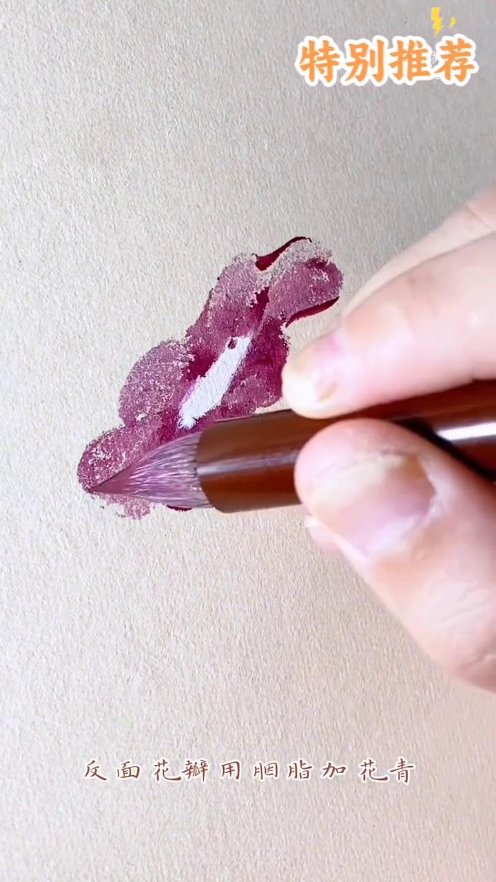 牵牛花画法。
·大红加花青画花瓣，花瓣为上下短左右长，中心用白色接染。
·反面花