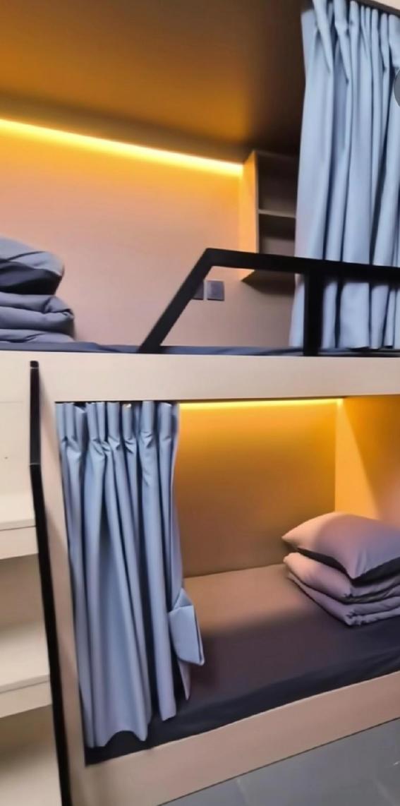 为什么现在青旅越来越多？

深圳近两年各区青旅增多，日租29-39元，带WiFi