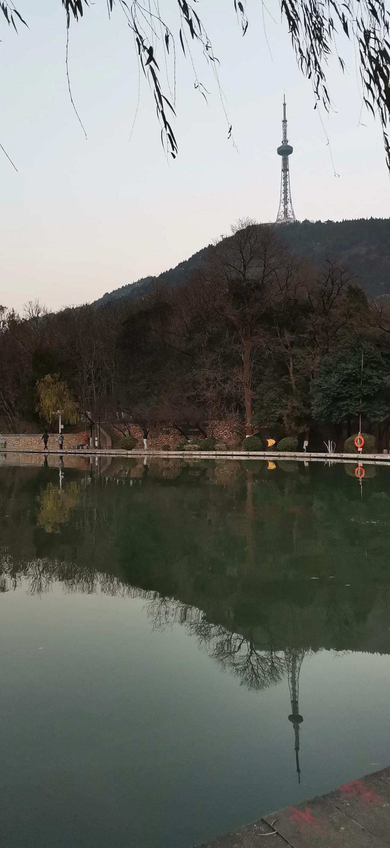 今日生活打卡