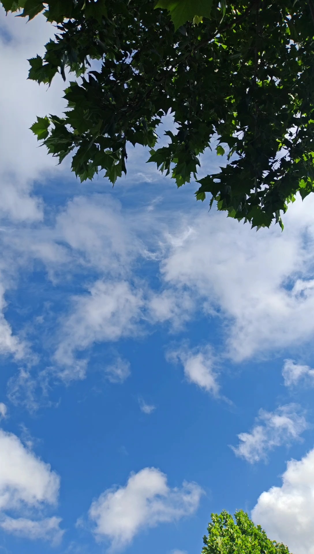 今天的天空超级美蓝天白云天空云朵记录生活