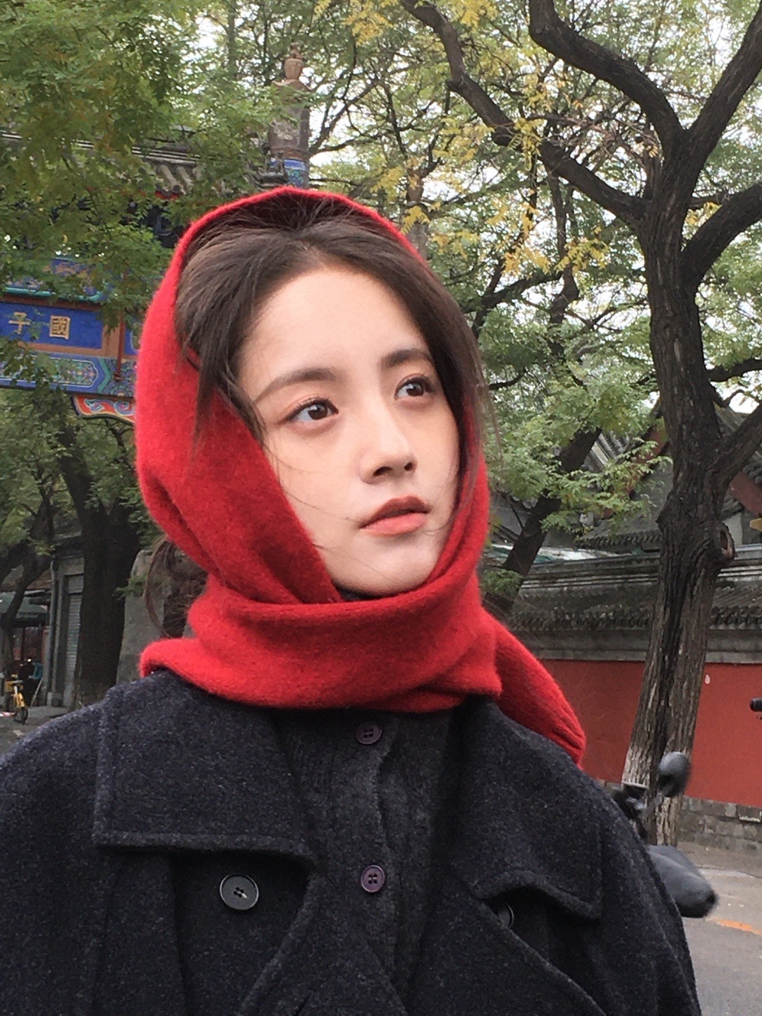 太好啦～赶上了北京的秋🍂好事多朵 ​​​