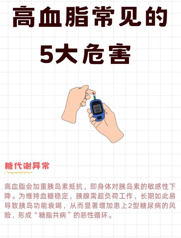 高血脂不容忽视，细数五大健康危害