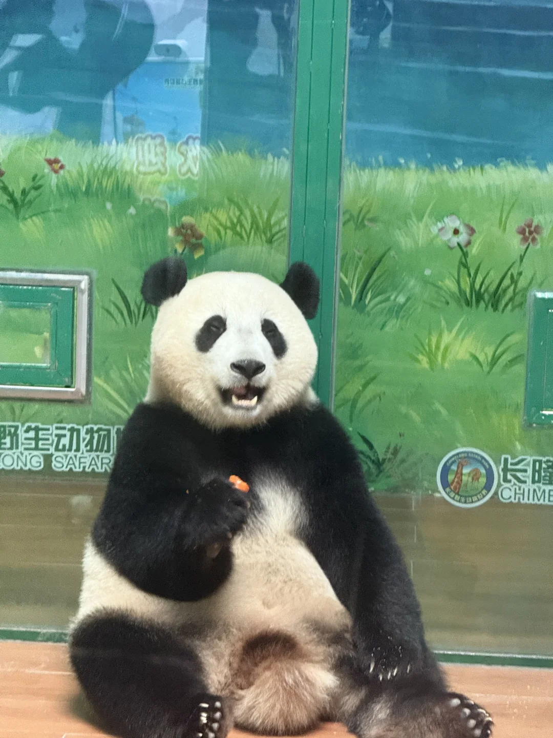 2个月后再见啦