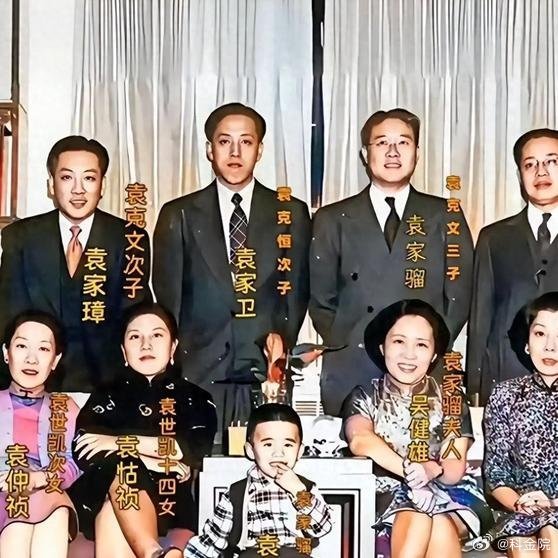 《1949年袁世凯后人集体在美国合影，文雅有礼气质出众，生活环境似乎相当优越！》