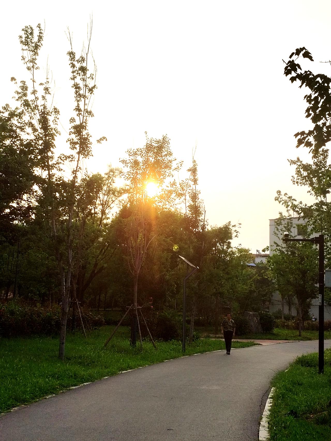 今天早晨出去散步锻炼身体，在沈丘千字文文化公园，看到公园美丽的风景，拿起手机，随