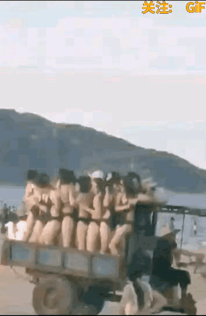 握草，我马上考个拖拉机骂驶证[捂脸][捂脸][捂脸]