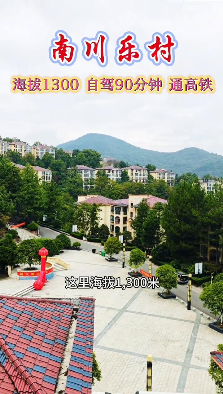 南川乐村，海拔1300，自驾90分钟通高铁。
我敢打赌，这是我见过森林植被最好的