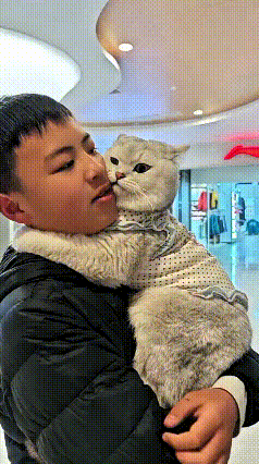 注意看！这小哥太会了，带着自家猫主子逛超市嘞！这猫咪乖得不像话，一路上死死搂着小