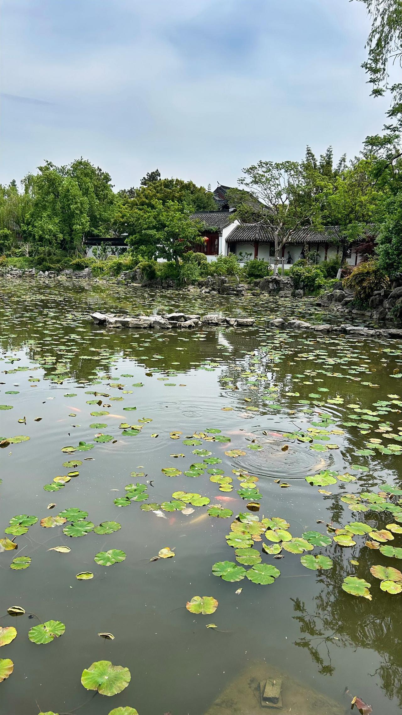雨润五洲四海；
水流千江万河。