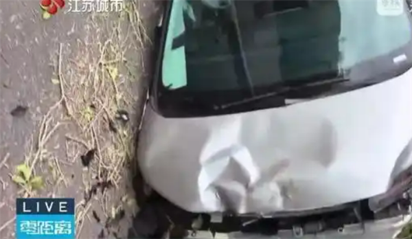 撞树+侧翻气囊为何不弹？小鹏X9车主不接受解释，将走法律途径