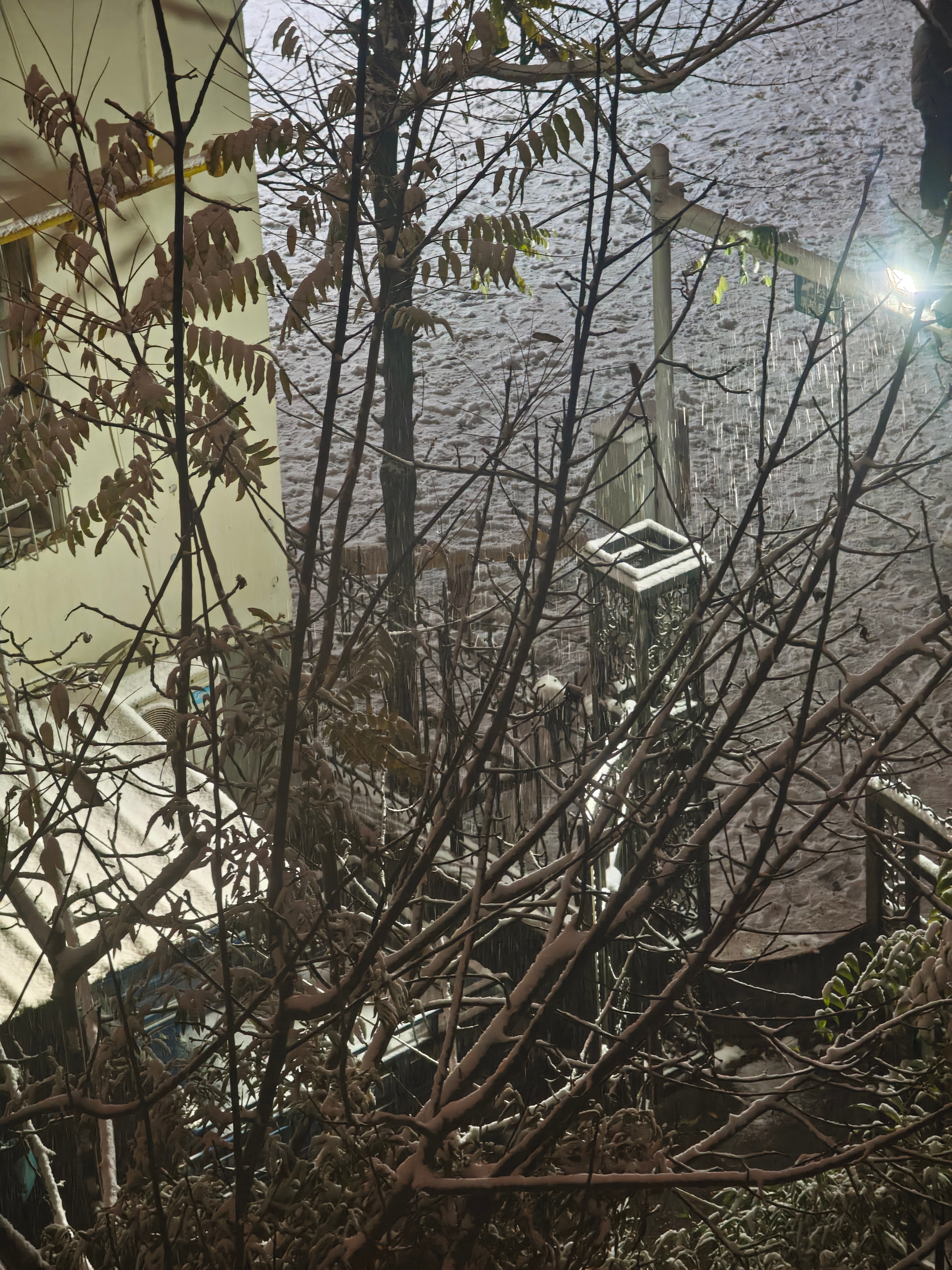 下了一天的雪还在下，好多人在打雪仗，堆雪人。外面亮的跟白天似的。现在城市灯光多，