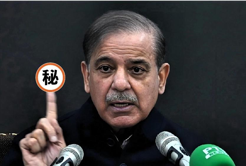 巴基斯坦政局突变！
 
巴基斯坦政坛风波再起！两名军方消息人士披露，陆军参谋长阿