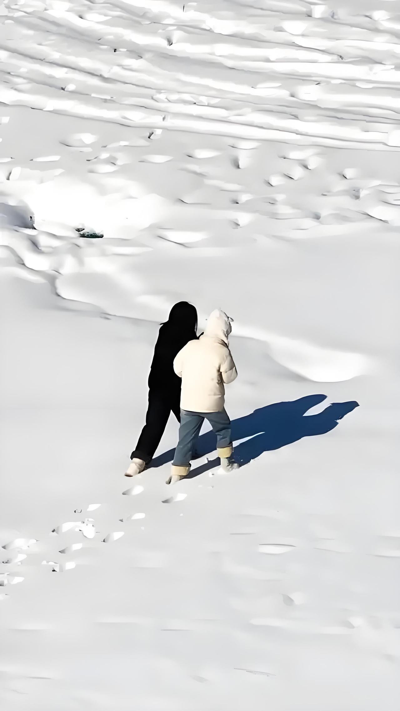 冬日打卡，踏雪而行。