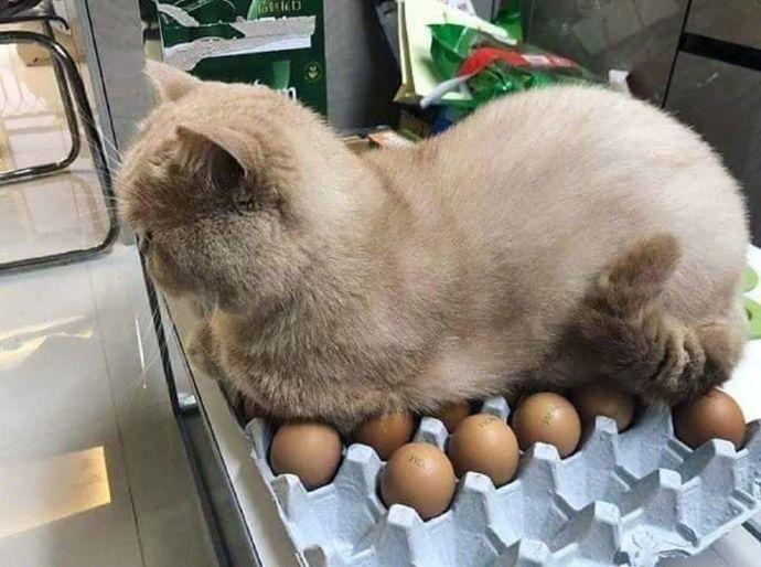 精诚所至