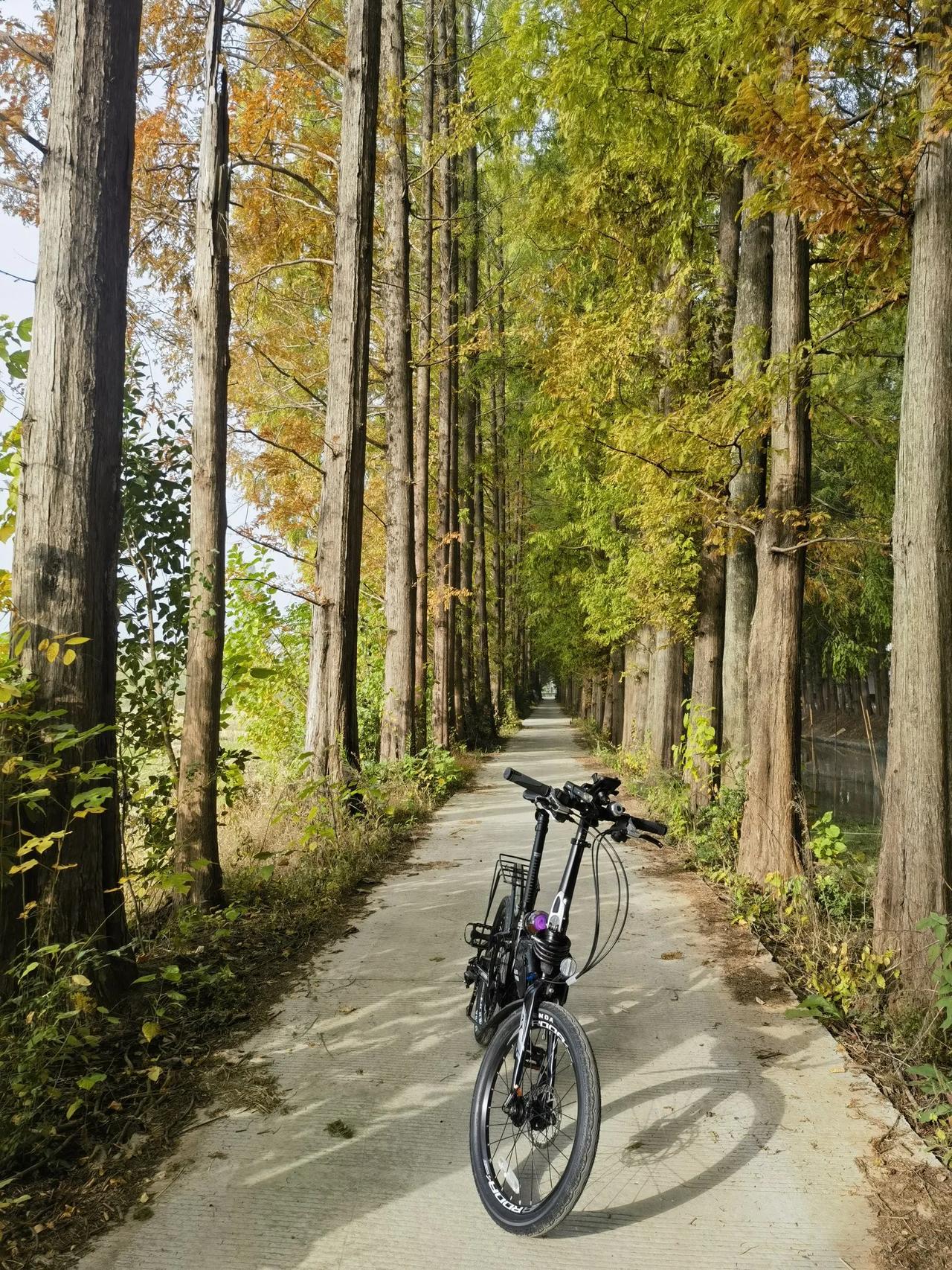 说的真是太对了，让人感悟颇深。能如此闲适快乐，做到无欲无求，真好！[大笑][大笑