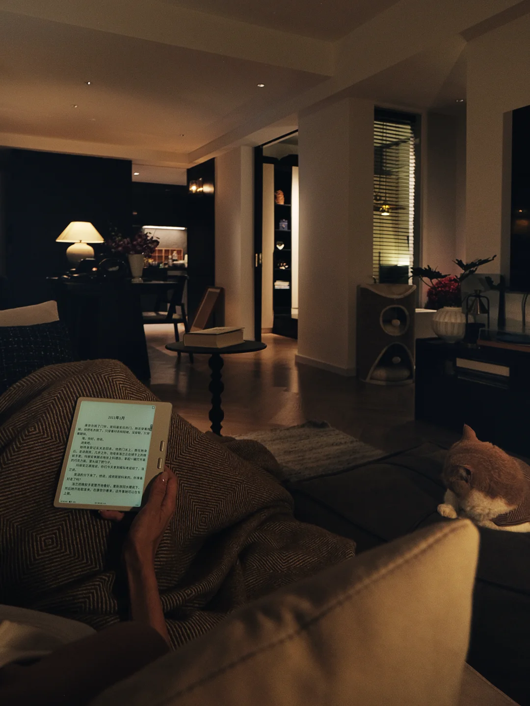 宅家躺沙发才是i人的正经事🛋️