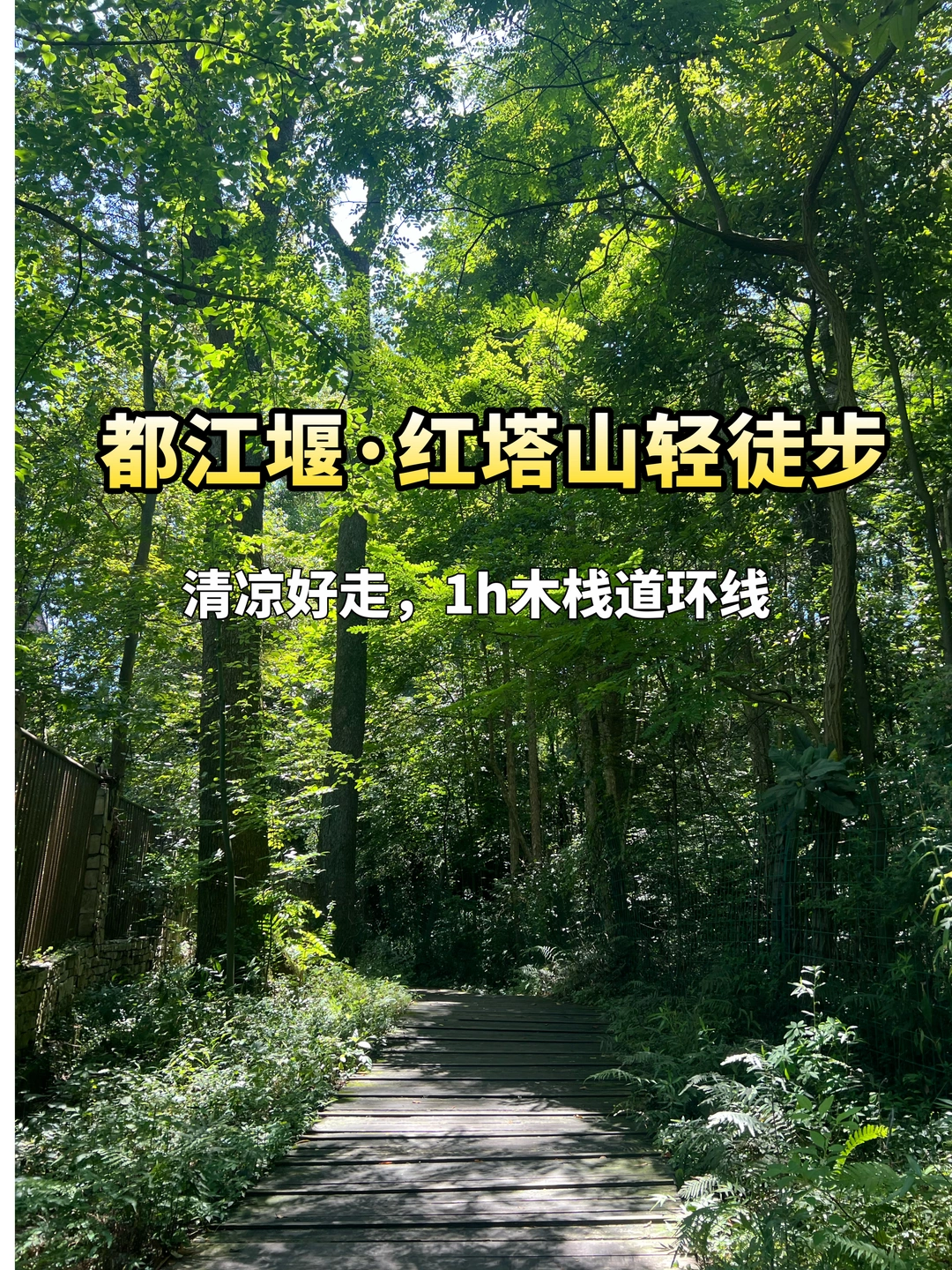 成都周边0.5h高铁直达｜避暑清凉徒步路线🍃