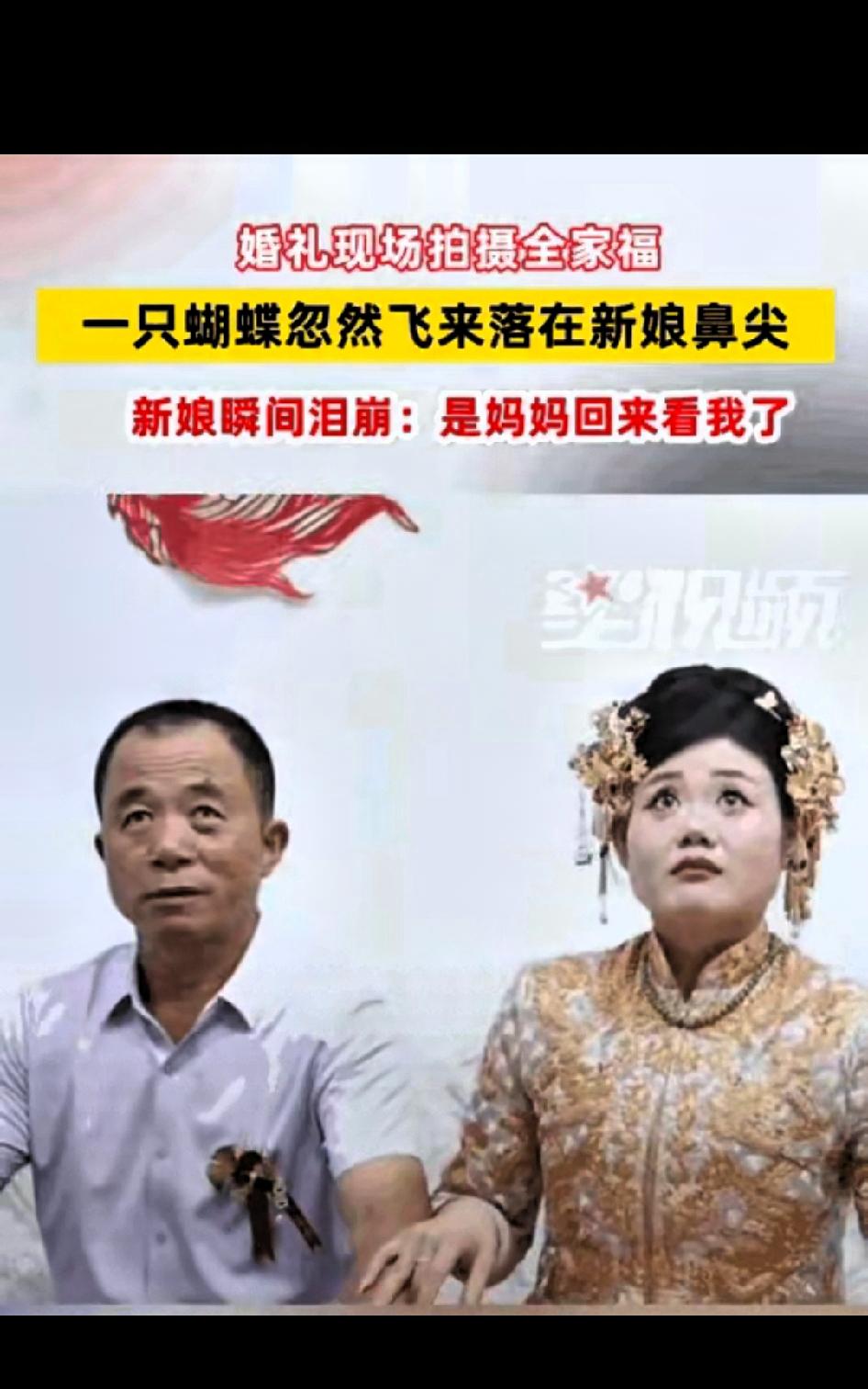 这一幕，连科学都解释不了！山东，婚礼当天，新娘出门前正和爸爸拍合照。突然，一只蝴