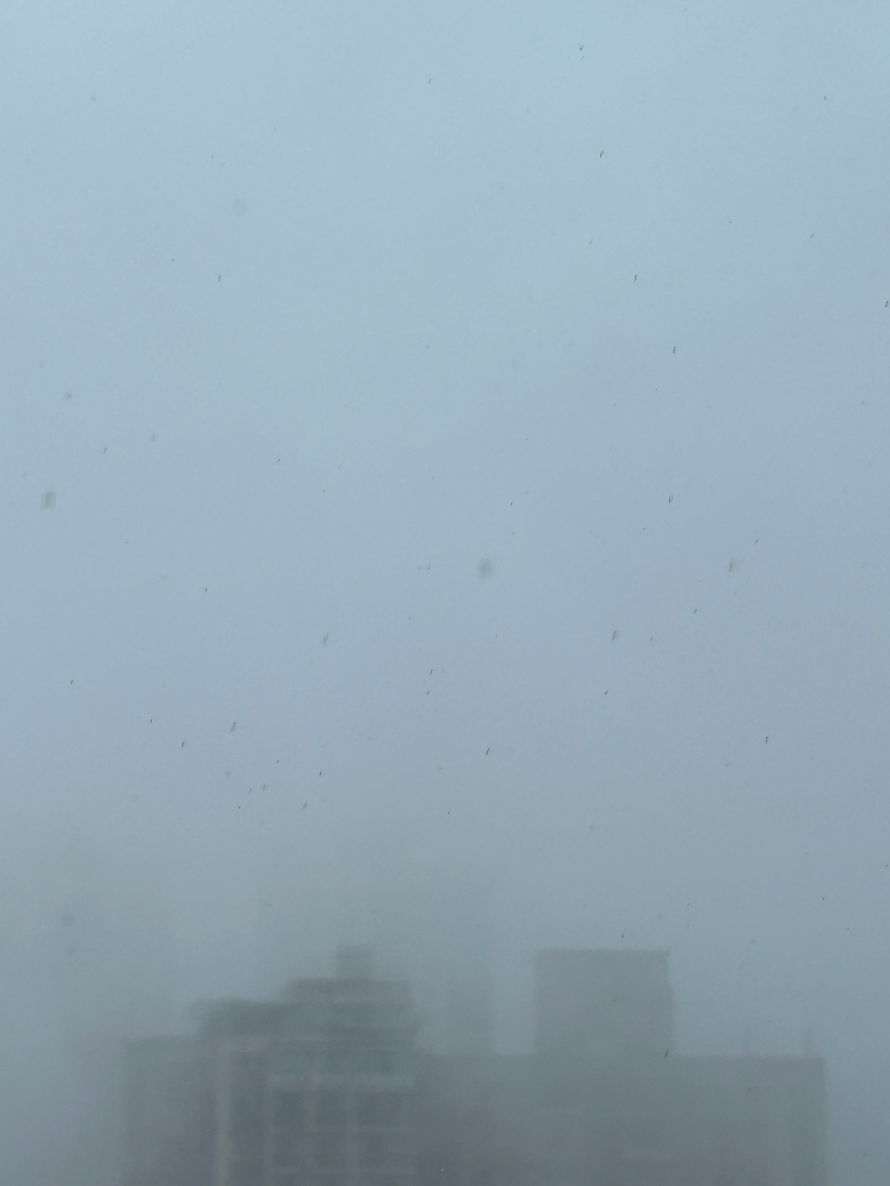 重庆暴雨，我求你别下了，天天都跟天漏了一样，太阳都没见着几回，能不能就只晚上下.