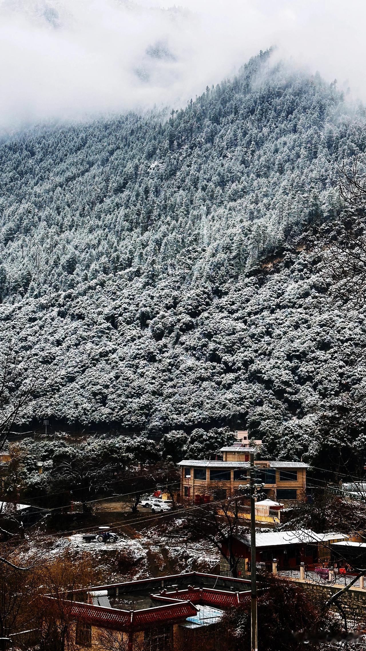 邂逅一场西藏大雪！
这氛围感，好像在梦中……