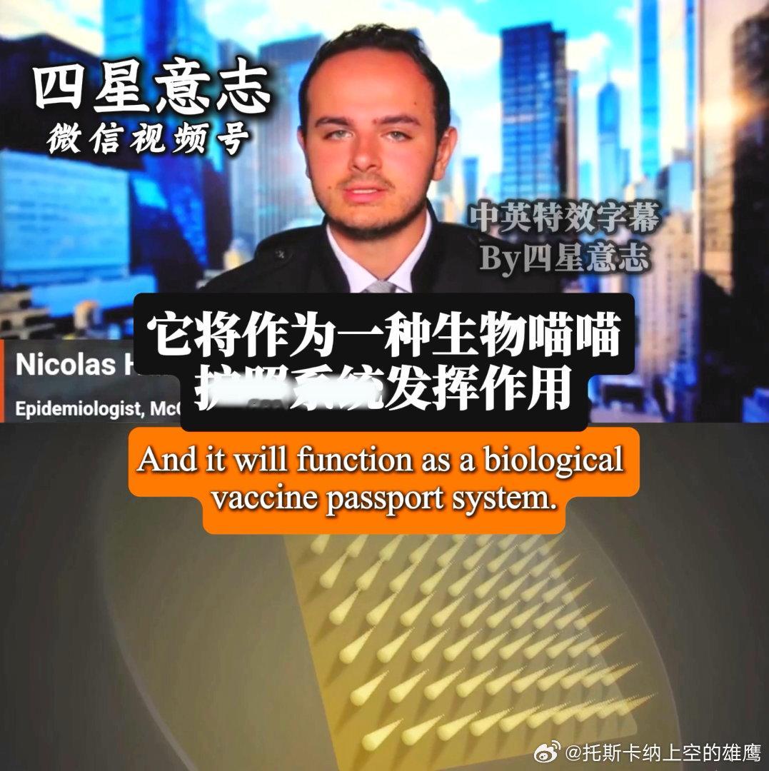 新做的一期中英特效字幕：盖茨，贴片，印记与AI合成病度！时长2min！大家感兴趣