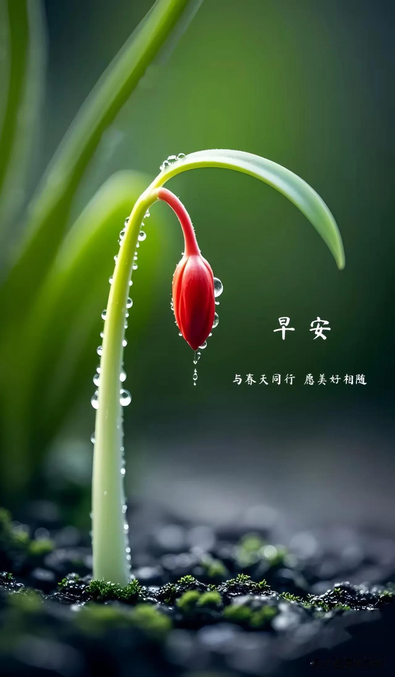 醒来便是晴天，加油，新的一天～