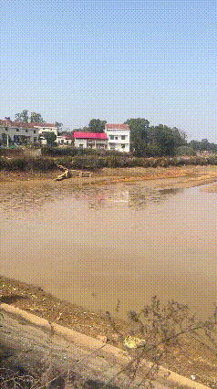 真是笑不活了！这条鱼是遭了天谴吗？刚好跳出水面然后落到二踢脚上。结果就被炸上了天