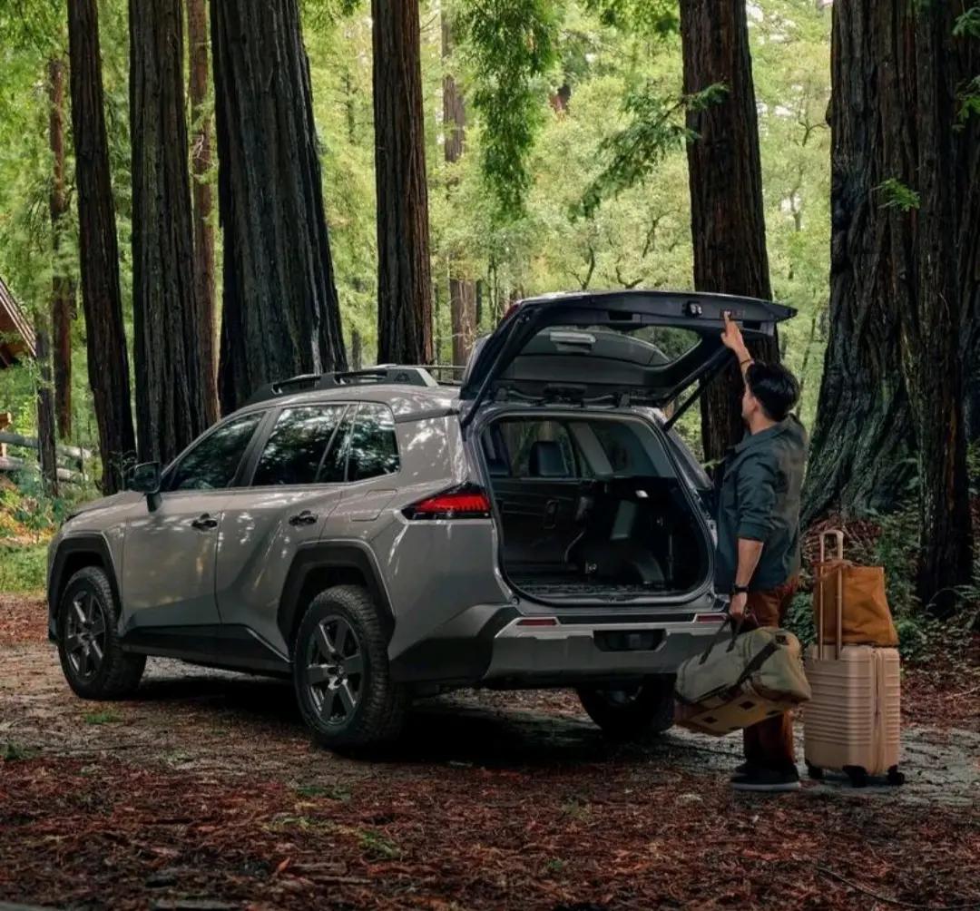 新能源汽车行业未来的发展趋势会越来越好，因为，新能源汽车行业发展是我国唯一的强项