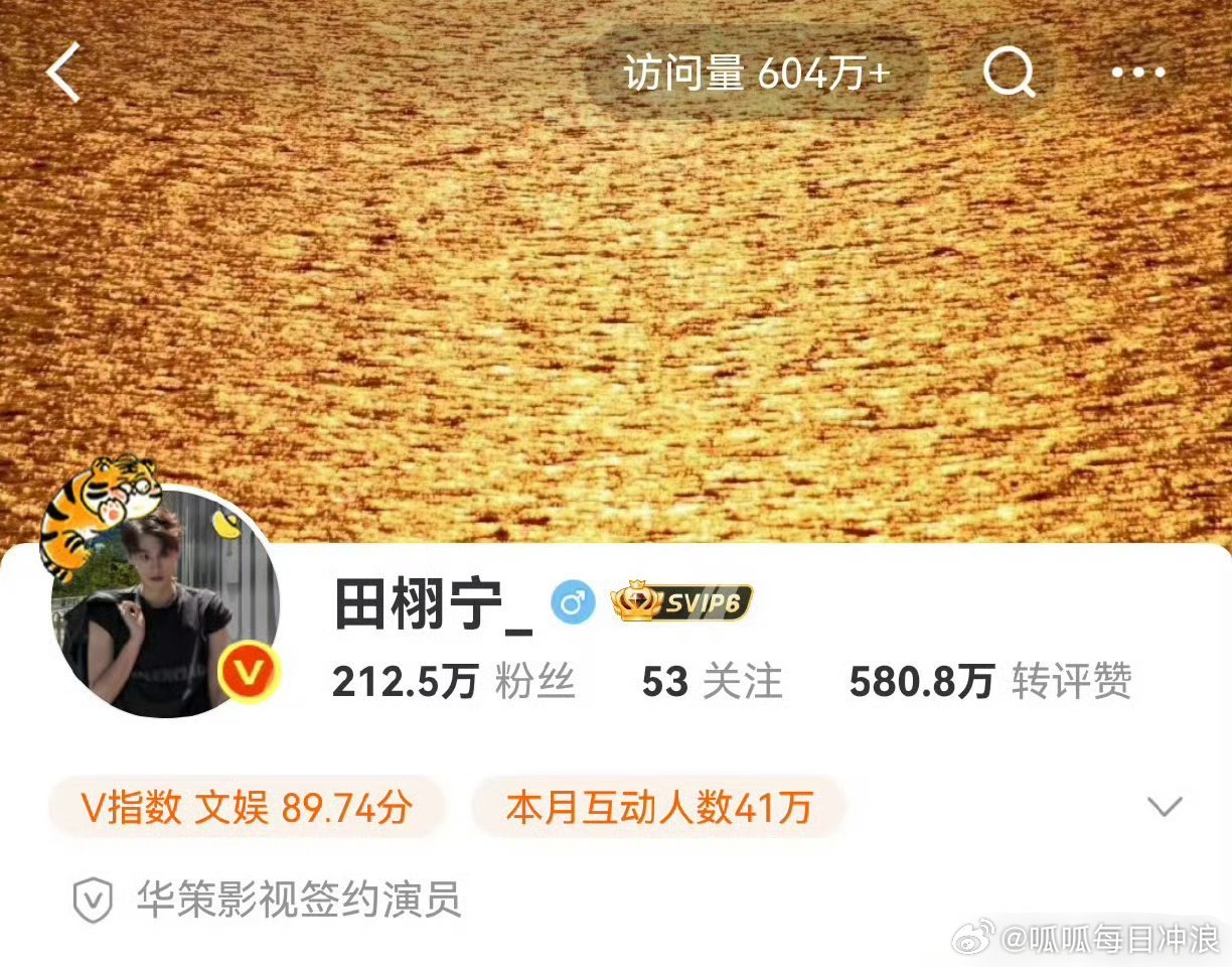 田栩宁 梓渝微博主页访问量，田栩宁604w+，梓渝496w+，暑假新顶流了吧？太
